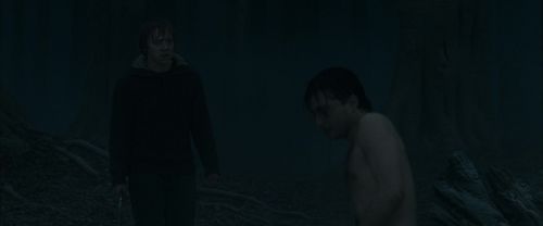 RdM1-Potterish10116.jpg
