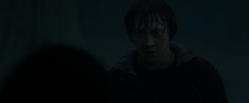 RdM1-Potterish10142.jpg