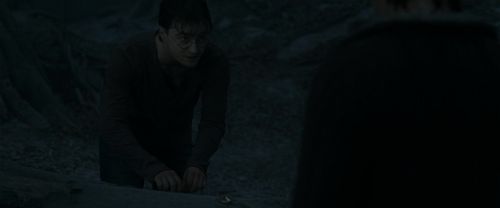 Click to view full size image
==============
RdM1-Potterish10145.jpg RdM1-Potterish10145.jpg