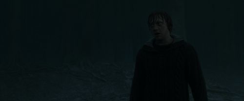 RdM1-Potterish10148.jpg