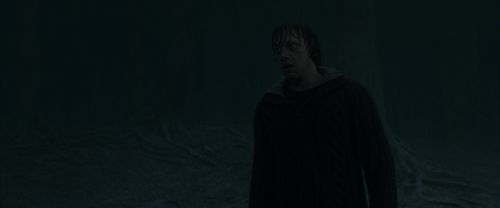 RdM1-Potterish10150.jpg