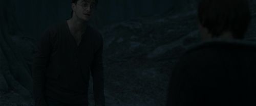 RdM1-Potterish10151.jpg