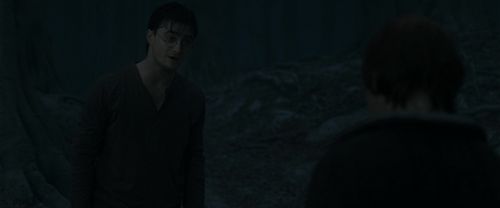 RdM1-Potterish10154.jpg