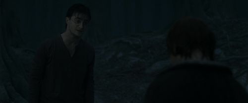 RdM1-Potterish10155.jpg