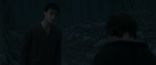 RdM1-Potterish10156.jpg