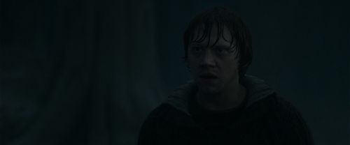 RdM1-Potterish10157.jpg