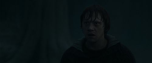 RdM1-Potterish10158.jpg