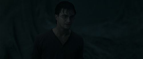 RdM1-Potterish10165.jpg