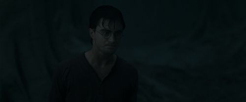 RdM1-Potterish10167.jpg