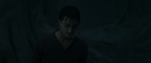 Click to view full size image
==============
RdM1-Potterish10168.jpg RdM1-Potterish10168.jpg