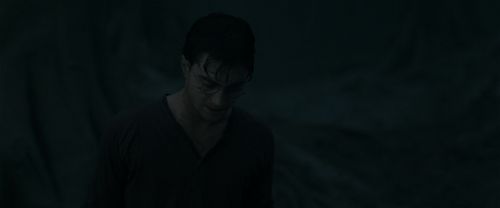 RdM1-Potterish10169.jpg
