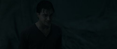 RdM1-Potterish10171.jpg