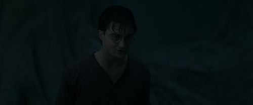 RdM1-Potterish10172.jpg