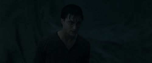 RdM1-Potterish10173.jpg