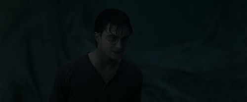RdM1-Potterish10175.jpg