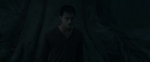 RdM1-Potterish10197.jpg