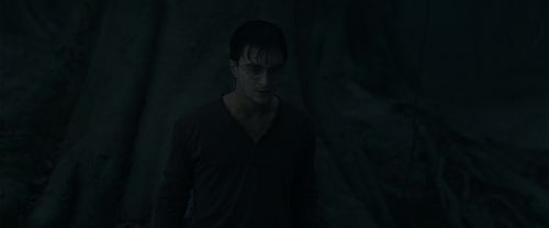 Click to view full size image
==============
RdM1-Potterish10198.jpg RdM1-Potterish10198.jpg