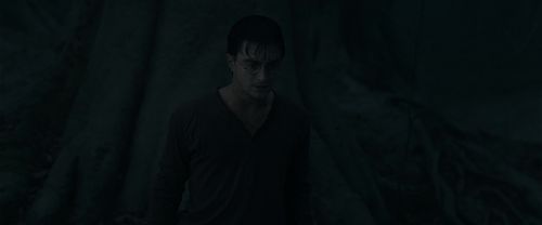 RdM1-Potterish10199.jpg