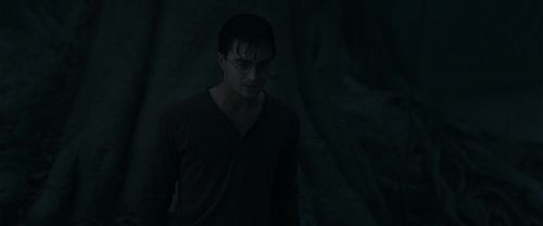RdM1-Potterish10200.jpg