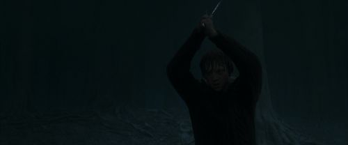 RdM1-Potterish10203.jpg