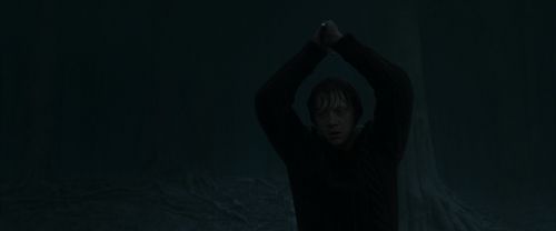 RdM1-Potterish10204.jpg