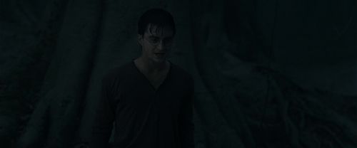 Click to view full size image
==============
RdM1-Potterish10206.jpg RdM1-Potterish10206.jpg