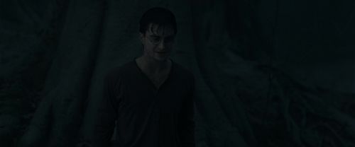 RdM1-Potterish10208.jpg