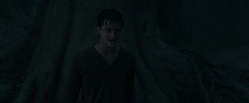 RdM1-Potterish10209.jpg