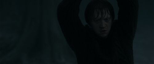 RdM1-Potterish10210.jpg