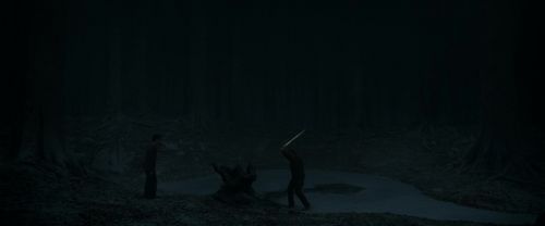 RdM1-Potterish10213.jpg