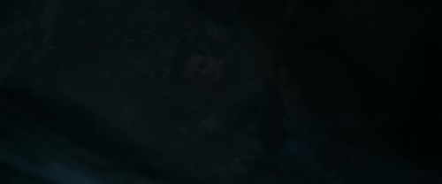 RdM1-Potterish10219.jpg