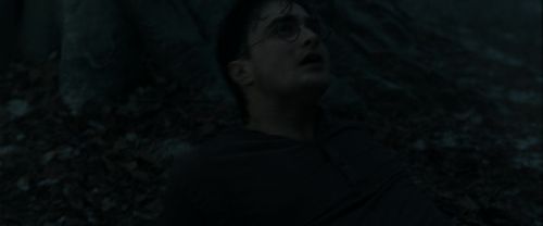 Click to view full size image
==============
RdM1-Potterish10233.jpg RdM1-Potterish10233.jpg