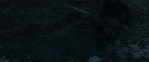 RdM1-Potterish10246.jpg
