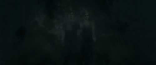 RdM1-Potterish10275.jpg