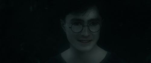 RdM1-Potterish10284.jpg