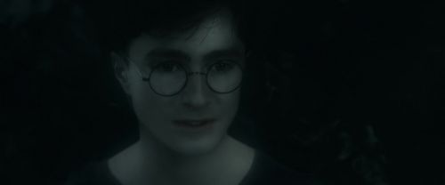 RdM1-Potterish10292.jpg