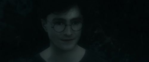 RdM1-Potterish10316.jpg