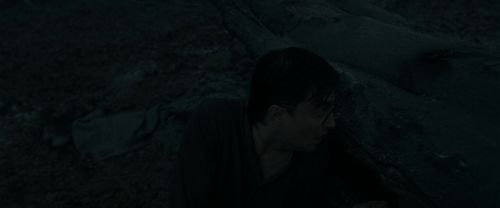 RdM1-Potterish10386.jpg
