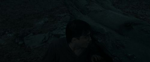 Click to view full size image
==============
RdM1-Potterish10390.jpg RdM1-Potterish10390.jpg