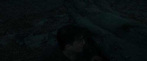 RdM1-Potterish10391.jpg