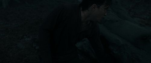RdM1-Potterish10394.jpg