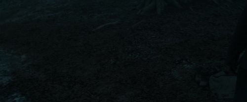 RdM1-Potterish10399.jpg