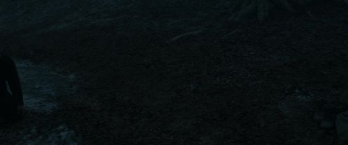 Click to view full size image
==============
RdM1-Potterish10400.jpg RdM1-Potterish10400.jpg