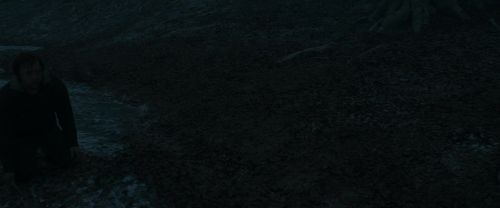Click to view full size image
==============
RdM1-Potterish10401.jpg RdM1-Potterish10401.jpg
