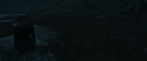 RdM1-Potterish10403.jpg