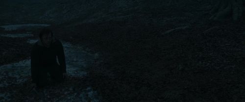 RdM1-Potterish10404.jpg