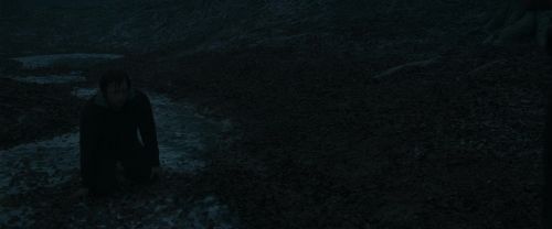 Click to view full size image
==============
RdM1-Potterish10405.jpg RdM1-Potterish10405.jpg