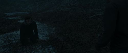 RdM1-Potterish10406.jpg
