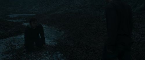 RdM1-Potterish10407.jpg