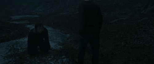 RdM1-Potterish10409.jpg